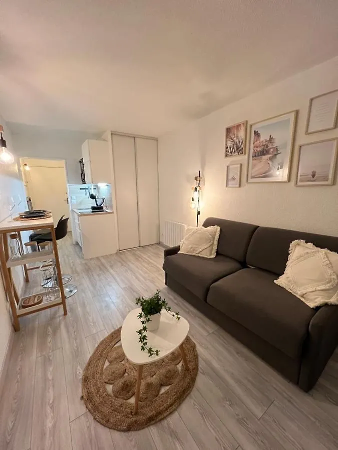 Studio Nice Port Apartment